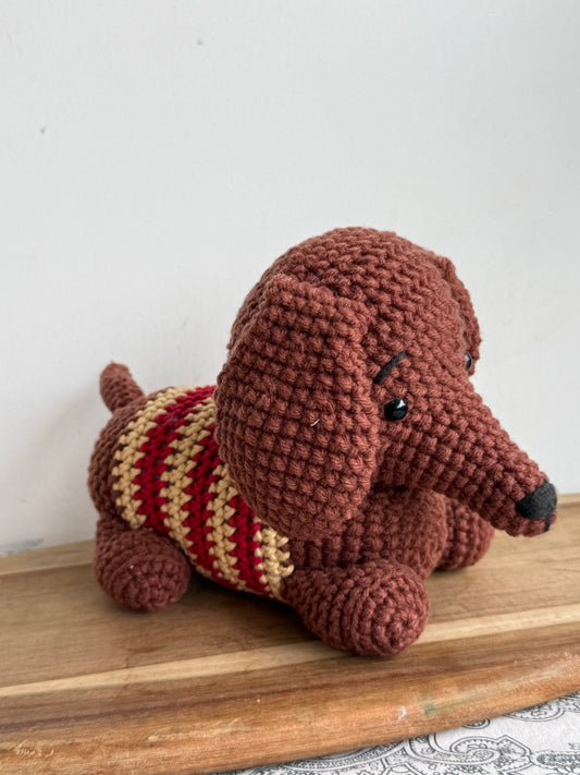 Abby the Dachshund
