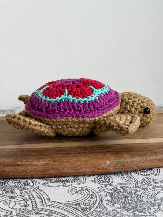 Tilly the Turtle