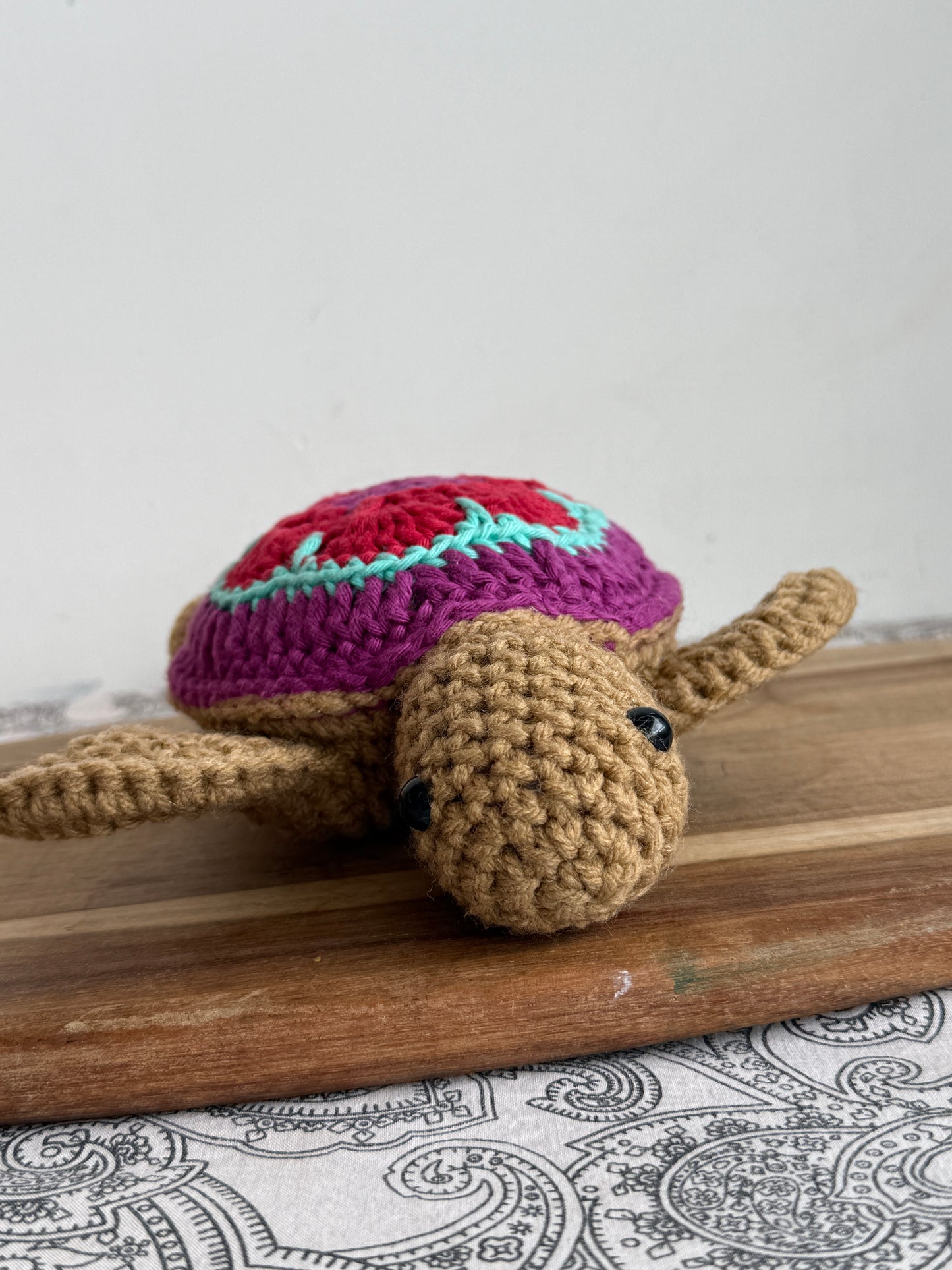Tilly the Turtle