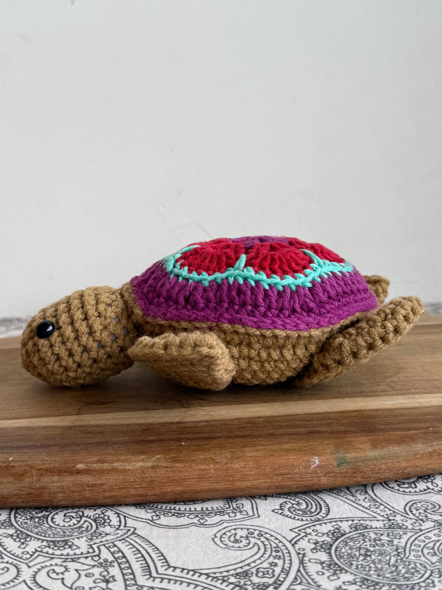 Tilly the Turtle