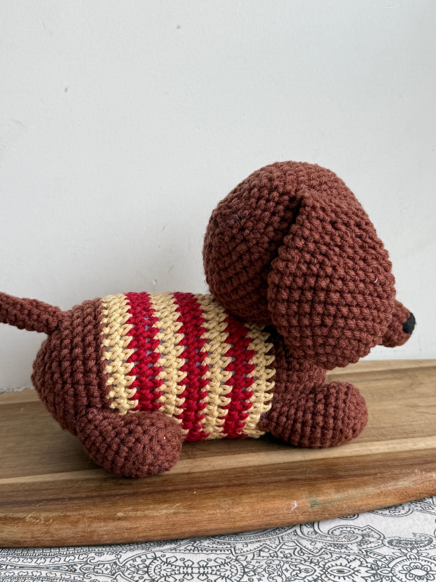 Abby the Dachshund