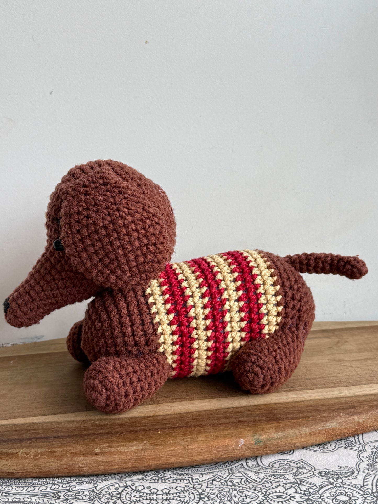 Abby the Dachshund