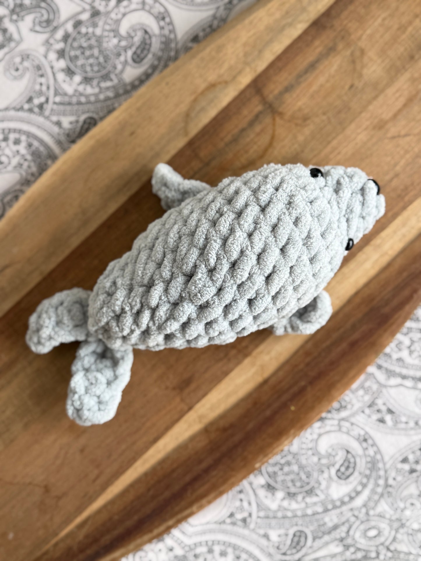 Pebbles the Baby Seal