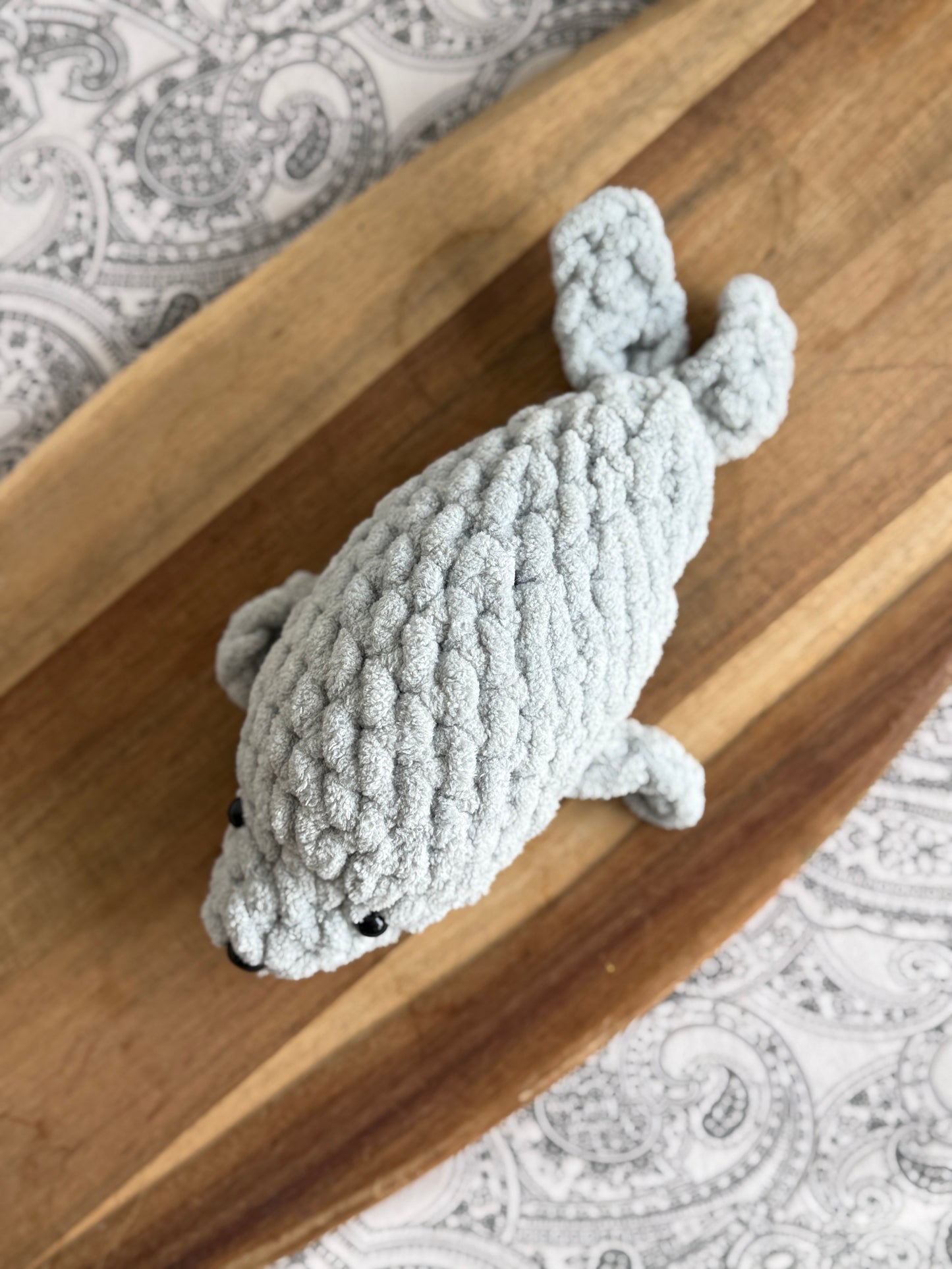 Pebbles the Baby Seal