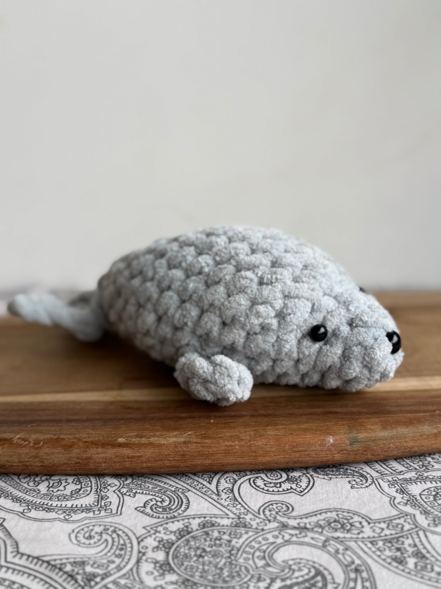 Pebbles the Baby Seal