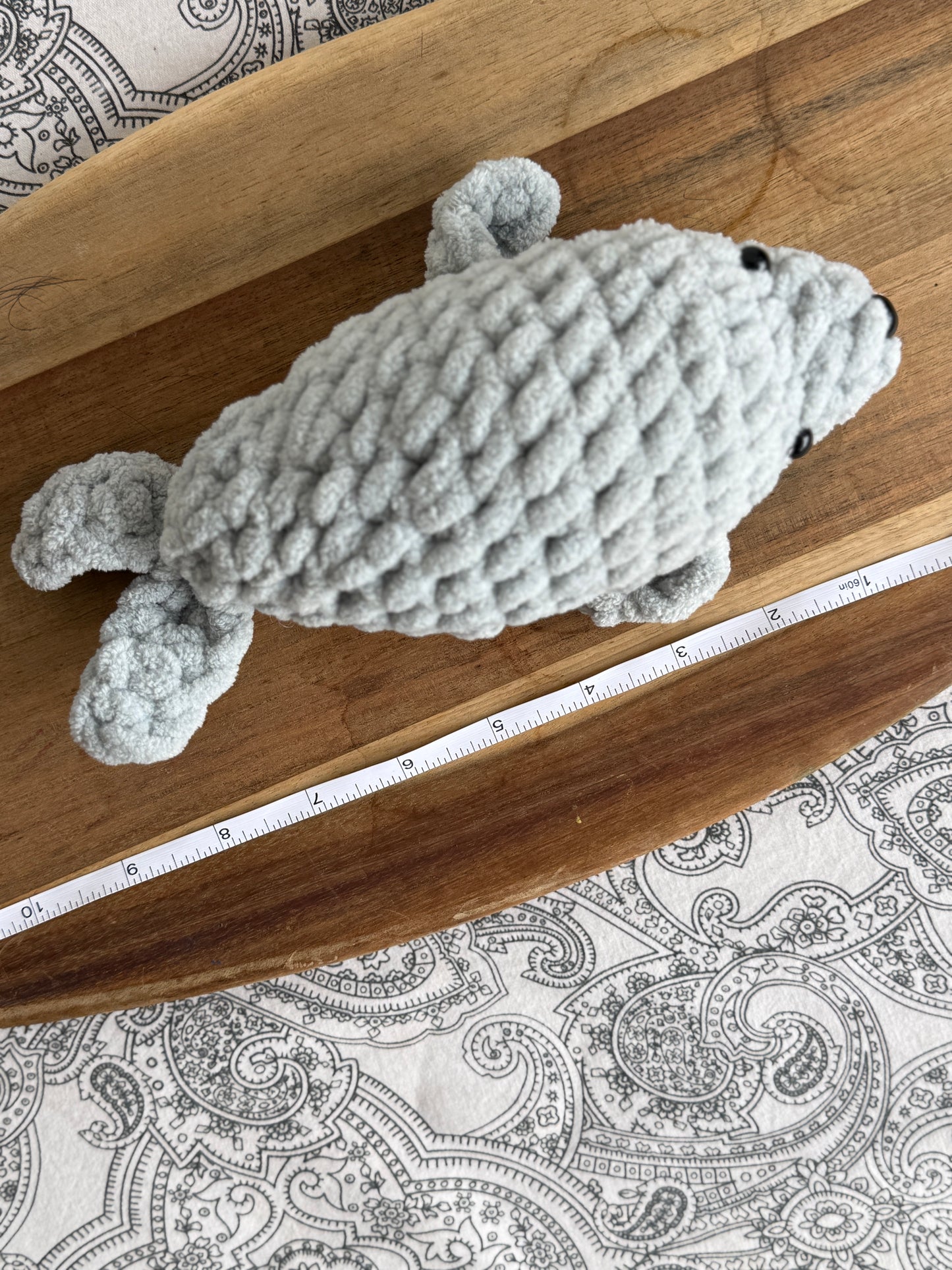 Pebbles the Baby Seal